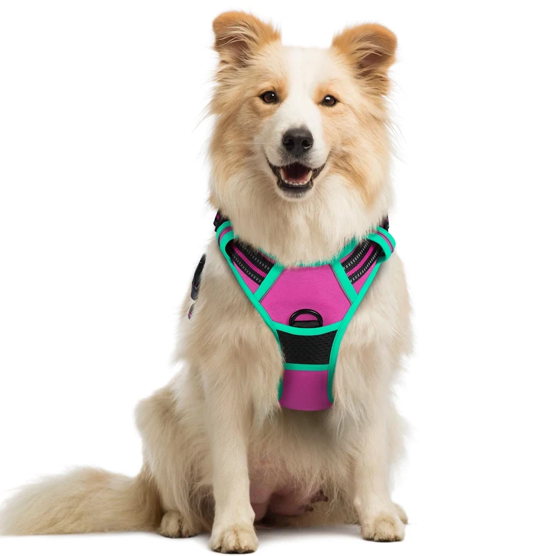 Rabbitgoo Harnais Chien Sans Tirage – 2 Attaches, Rembourré, Réfléchi, Poignée de Contrôle, Grand Chien, Rose & Turquoise, M