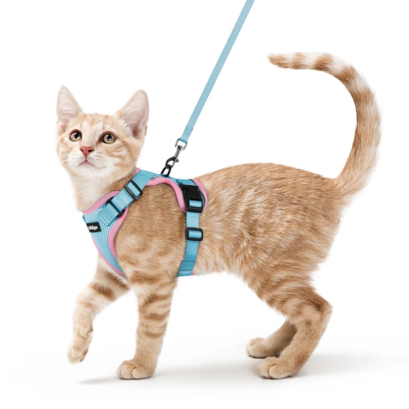 rabbitgoo Harnais et Laisse pour Chats — Anti‑Évasion, Respirant, Réglable XS Bleu Clair et Rose
