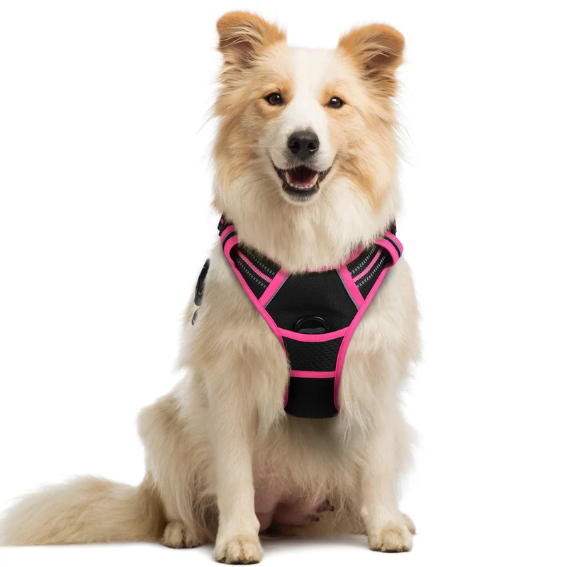 rabbitgoo Harnais Chien Sans Traction – 2 Attaches, Doux Rembourré, Poignée de Contrôle, Taille M, Noir et Rose