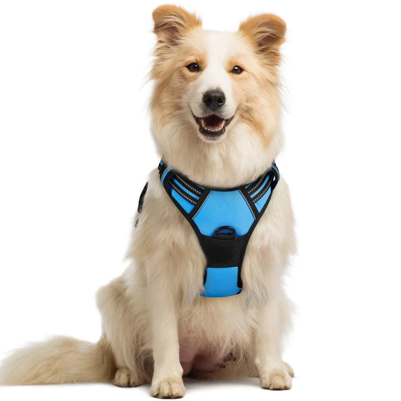Rabbitgoo Harnais pour Chien Moyen Sans Tirage — 2 Mousquetons, Doux Rembourré et Poignée de Contrôle – Bleu, Taille M