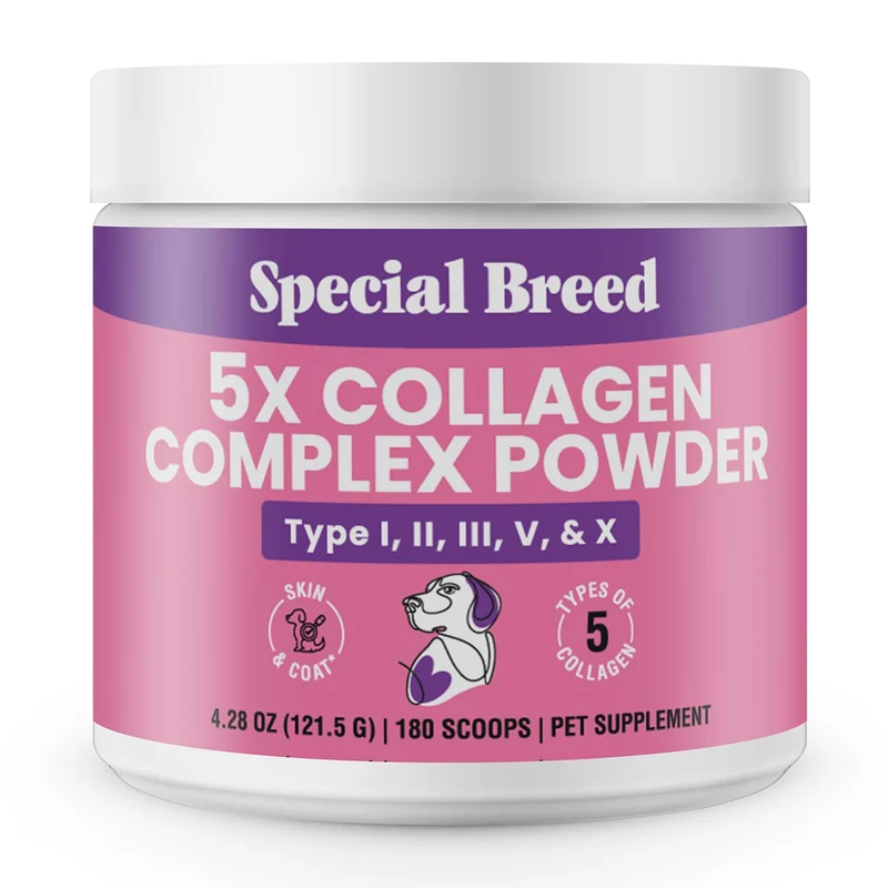 Special Breed Poudre Collagène 5X pour Chiens – Peau, Pelage, Articulations & Digestion – 180 Mesures, 4,28 oz