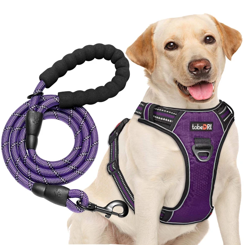 tobeDRI Harnais Anti-Tirage pour Chien – Ajustable, Réfléchi et Durable + Laisse 5 Pieds