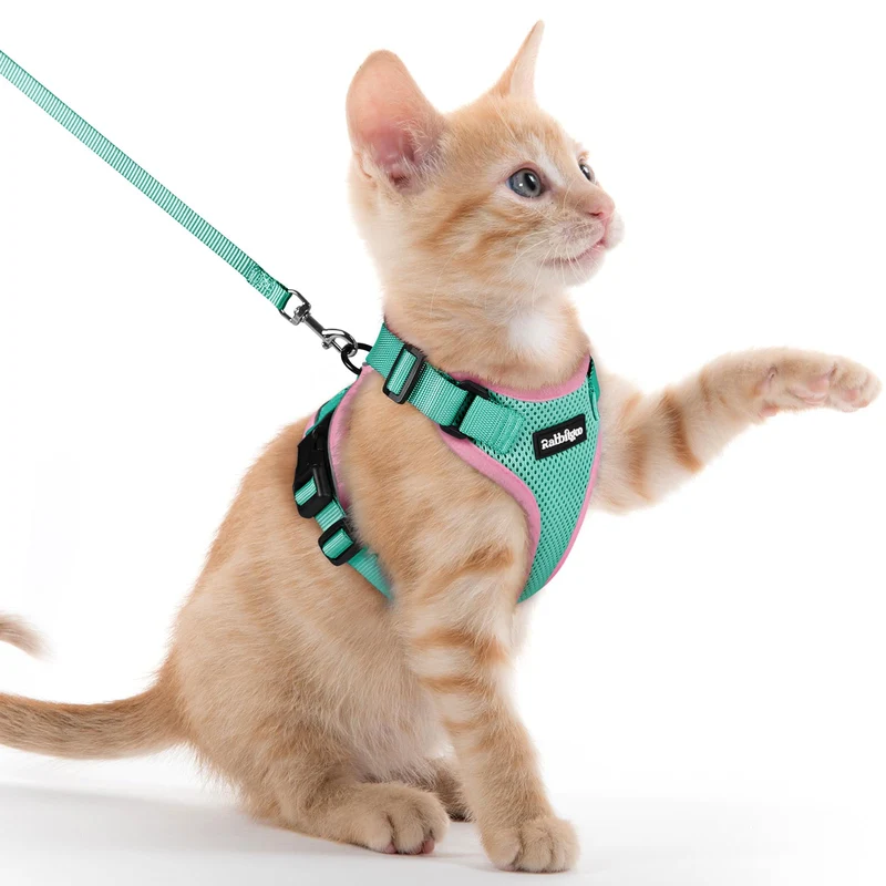 Rabbitgoo Harnais et Laisse pour Chats – Anti-Fuite, Respirant, Réglable | Vert et Rose XXS