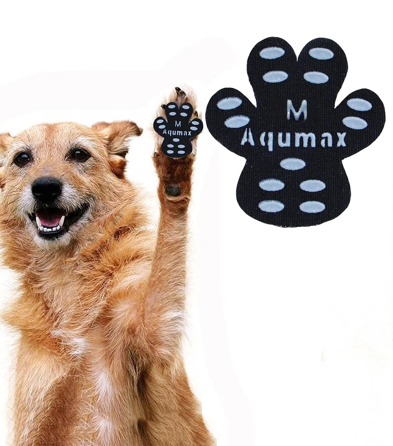 Aqumax Pattes Antidérapantes - Traction pour Chiens, Ensemble 48 pièces (Taille M, Noir)
