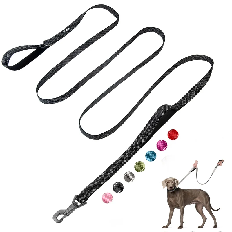 Longe pour chien Fida 10 pieds – 2 poignées rembourrées, attache rapide et réfléchissante