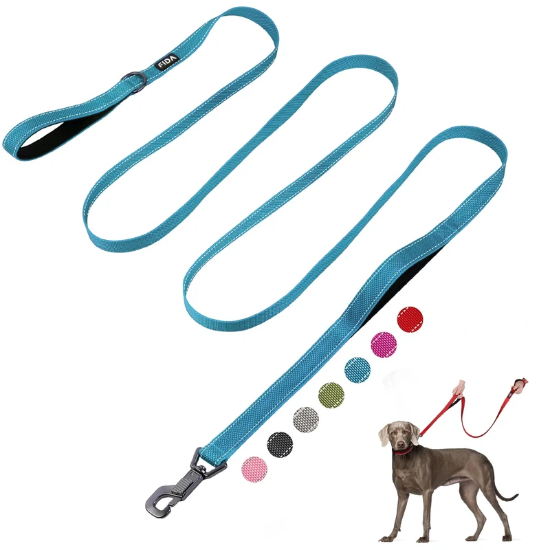 Fida Laisse Chien 10 Pieds – Double Poignées Rembourrées, Crochet Rapide Avancé, Poignée Trafic, Réfléchissante – Pour Grandes, Moyennes et Petites Races – Bleu