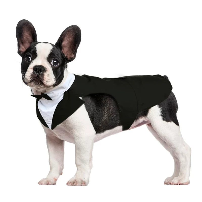 Kuoser Tuxedo pour Chien – Ensemble Smoking et Bandana, Tenue Chien pour Mariage et Fêtes