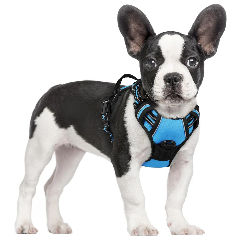 Rabbitgoo Harnais Chien Sans Tirage – 2 Attaches, Poignée, Boucles Rapides, Bleu, Taille S