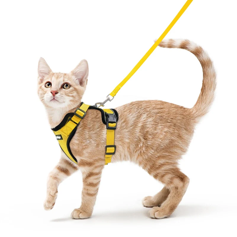 Rabbitgoo Harnais et Laisse pour Chat — Anti-Fuite, Respirant, Sécurité Réfléchissante, Jaune, Taille S