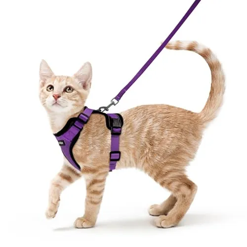 rabbitgoo Harnais et Laisse pour Chat – Harnais Gilet Respirant Anti-évasion, Bandes Réfléchissantes, Violet XS