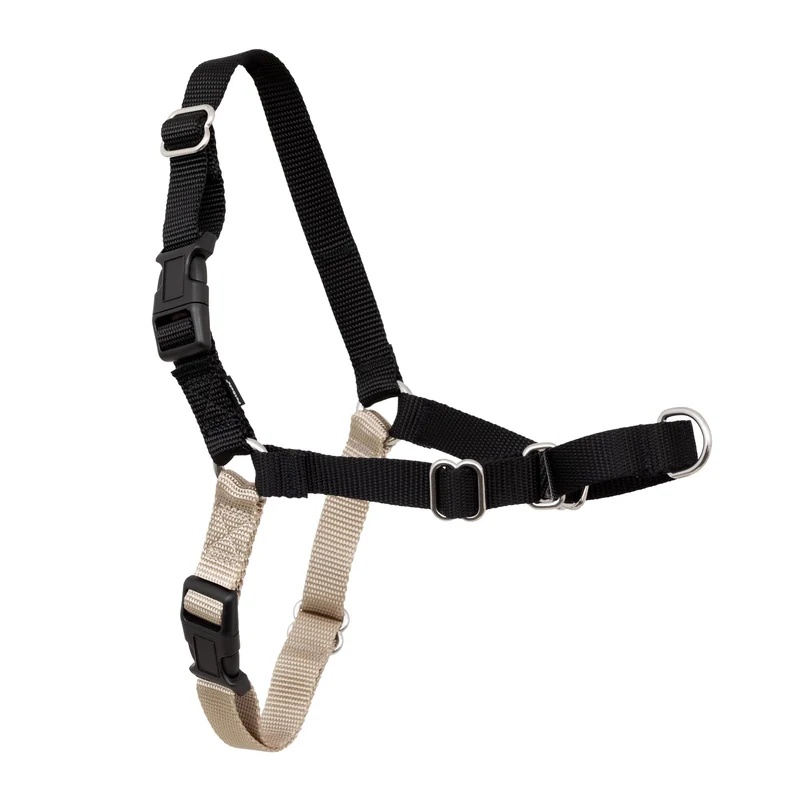 PetSafe Easy Walk Harnais Chien – Pas de Tirage, Attache Avant, Confort Ajustable