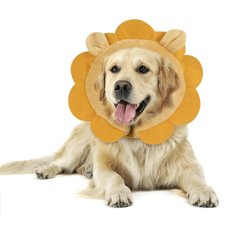 IEUUMLER Collier Gonflable de Récupération – Anneau Doux pour Chien et Chat EU002 Lion XL