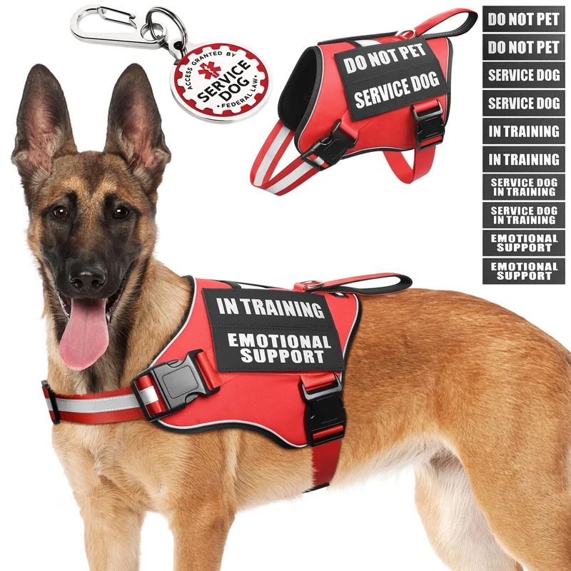 MOOGROU Harnais pour Chien de Service avec Patchs et Insigne Métal – Confort et Visibilité pour Grands Chiens