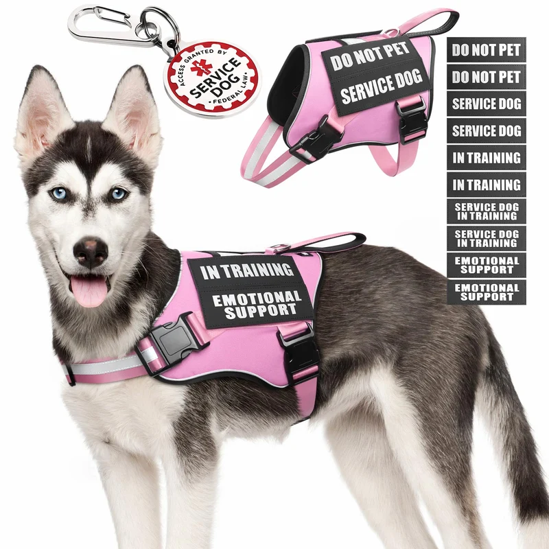 MOOGROU Harnais pour Chien de Service avec Médaillon Métal, 10 Patchs, Réfléchissant, Poignée – Taille M (Rose)