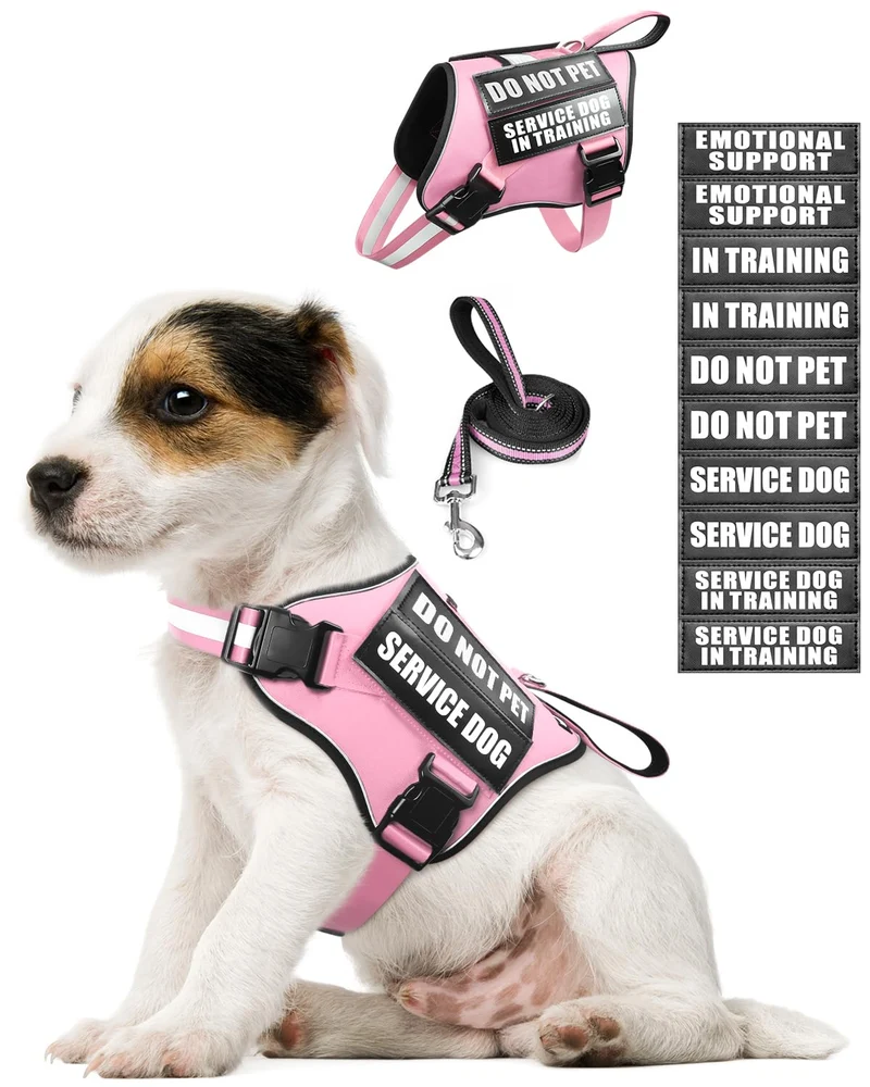 MOOGROU Harnais de service pour chien avec laisse et 10 patches – Petit chien rose XS