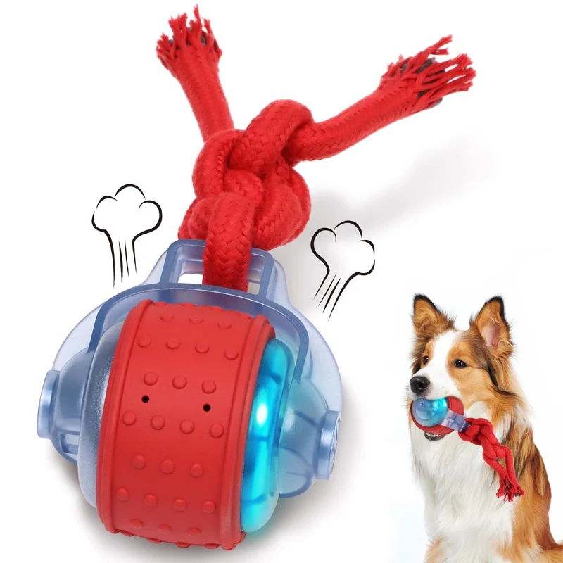 Oxawo Balle Interactive pour Chiens – Jouet stimulant pour Chiens Moyens et Petits