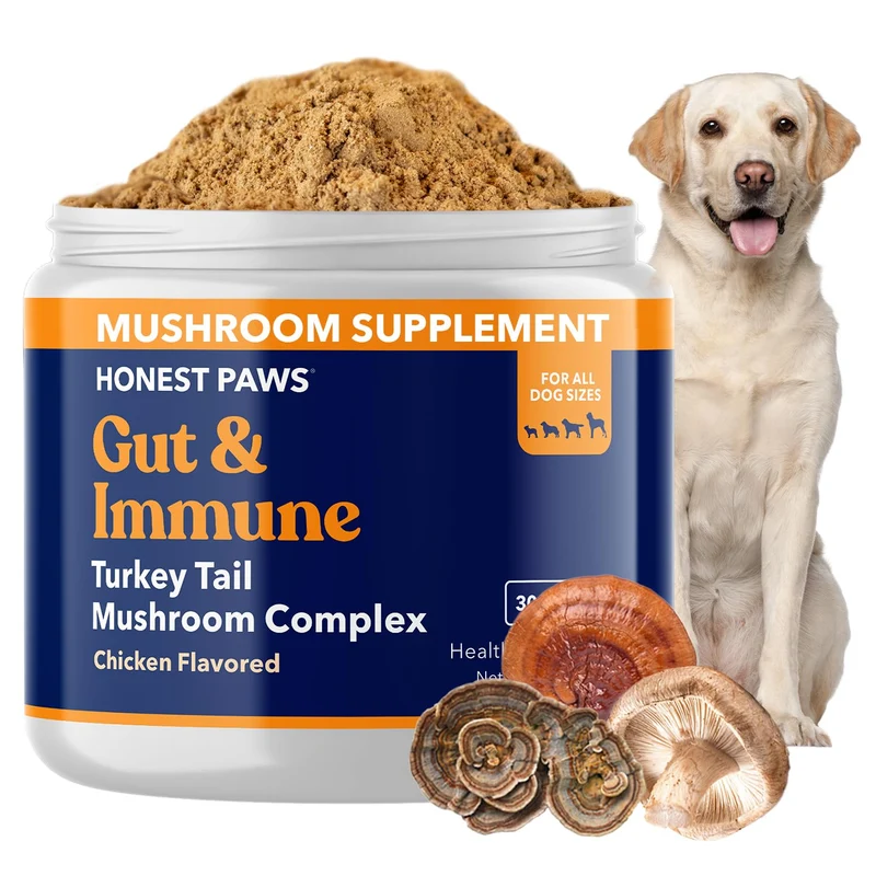 Honest Paws Tramète Queue de Dinde pour Chiens – Soutien Digestif et Immunitaire – Poudre Shiitake/Reishi/Maitake – Sans Additifs – 30 Mesures