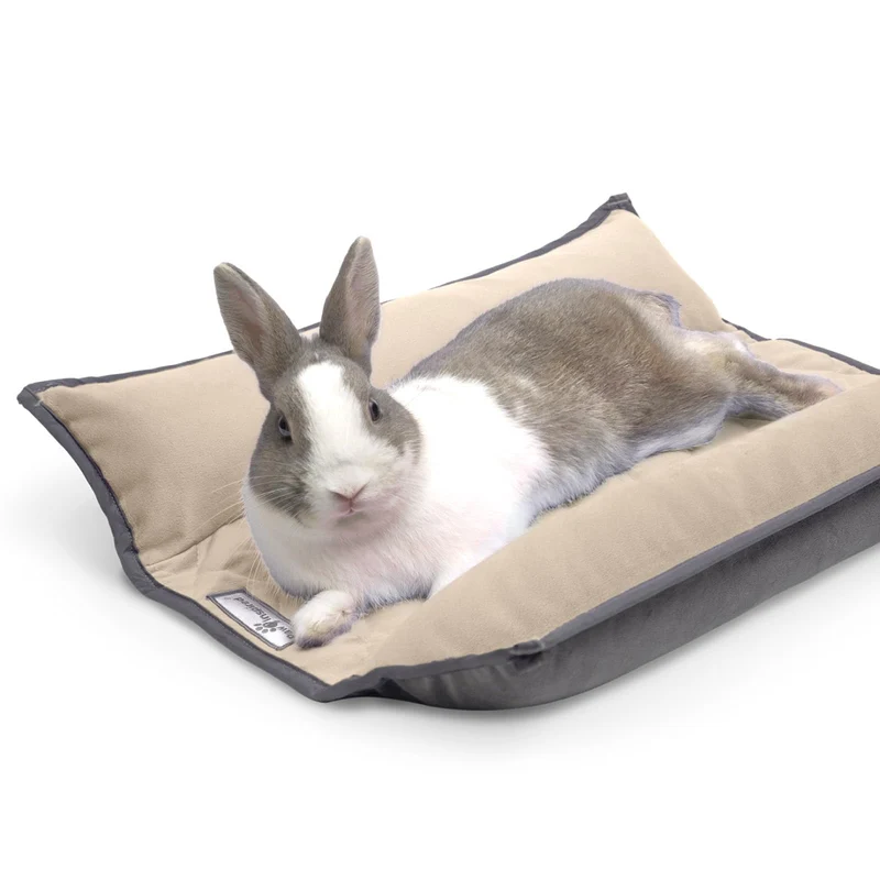 Paw Inspired Snuggle Bunny – Coussin réversible 17x17 pouces pour lapins et petits animaux (gris/beige)