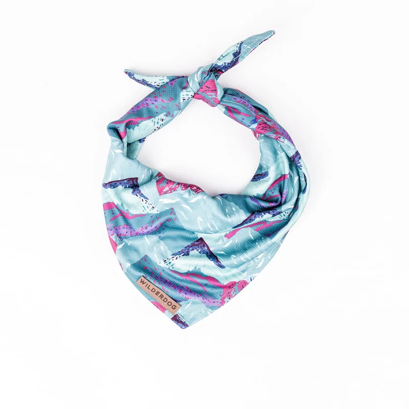 Wilderdog – Bandana pour chien en maille légère, séchage rapide (Alpenglow)