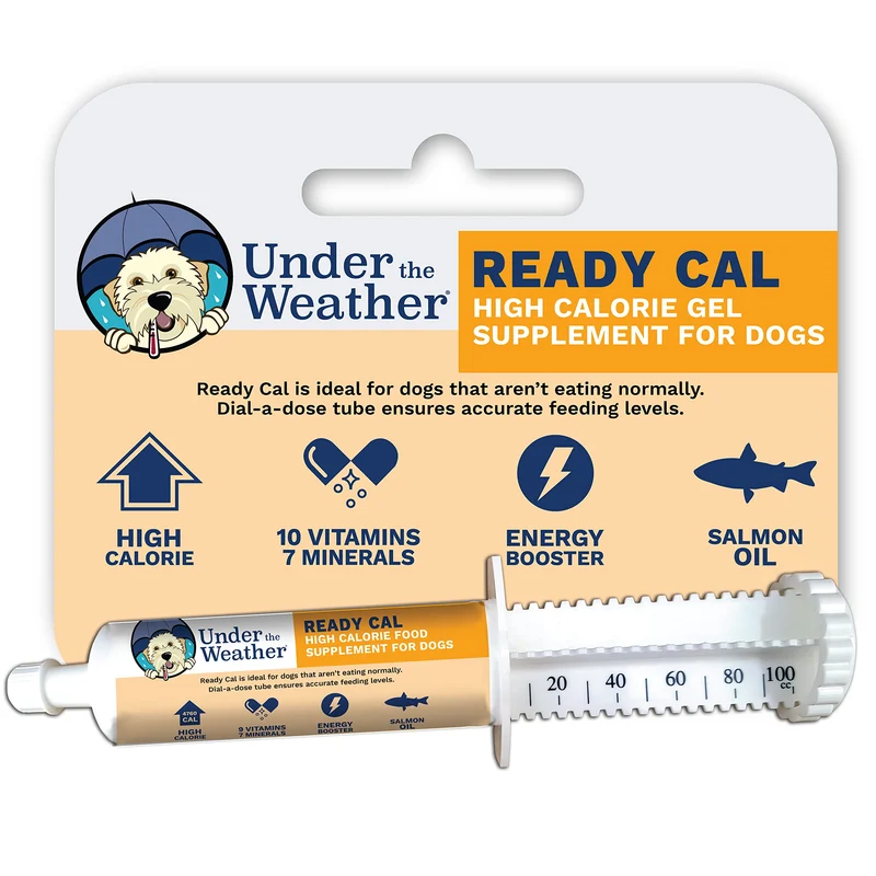 Under the Weather ReadyCal pour Chien – Supplément Haute Calories 100cc | Gain de Poids et Appétit