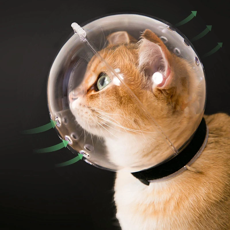 Hoqqf Muselière transparente pour chat avec capuche respirante – Taille L | Toilettage en douceur
