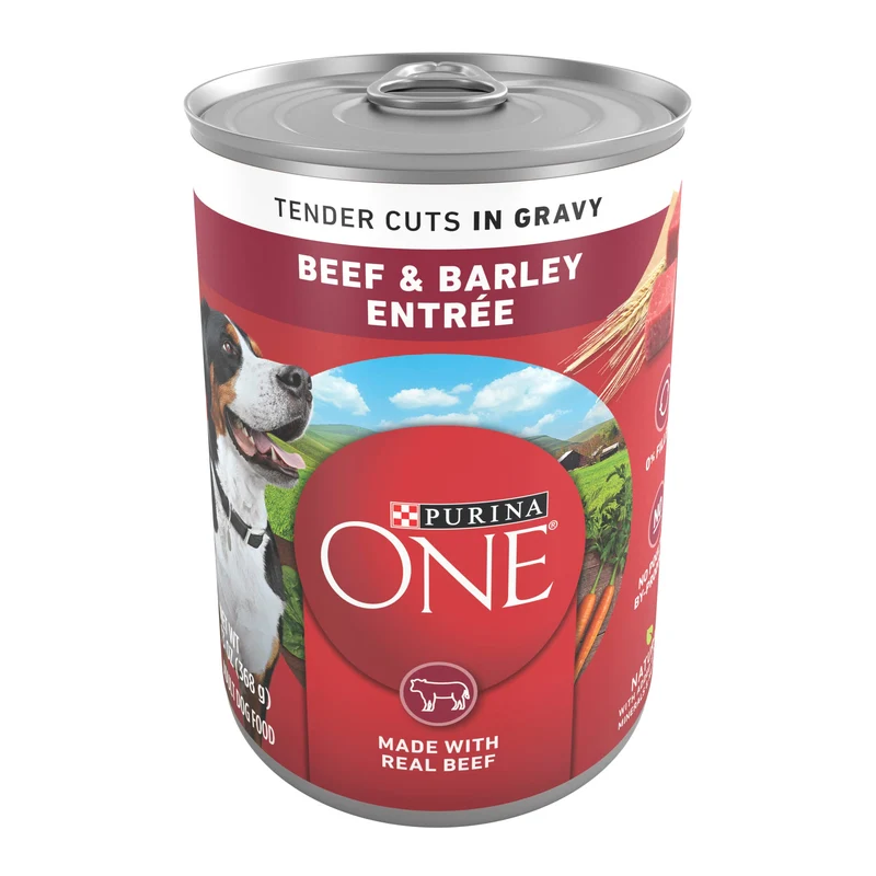 Purina ONE Nourriture humide naturelle pour chien – Morceaux tendres au boeuf et orge, Entrée en sauce, 13 oz, Pack de 12