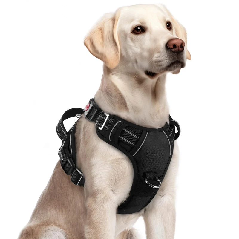 rabbitgoo Harnais Chien Grand Taille – Sans Tirage, 3 Boucles, Poignée Large, Sangles Réfléchissantes, Noir, Taille L
