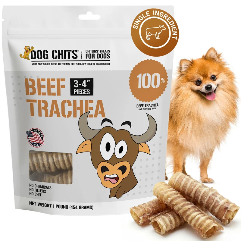 Dog Chits Trachée de Boeuf pour Chiens 1 lb – 100% Ingrédient Unique, Protéines Élevées, Faible Gras, Glucosamine et Nettoyage Dentaire