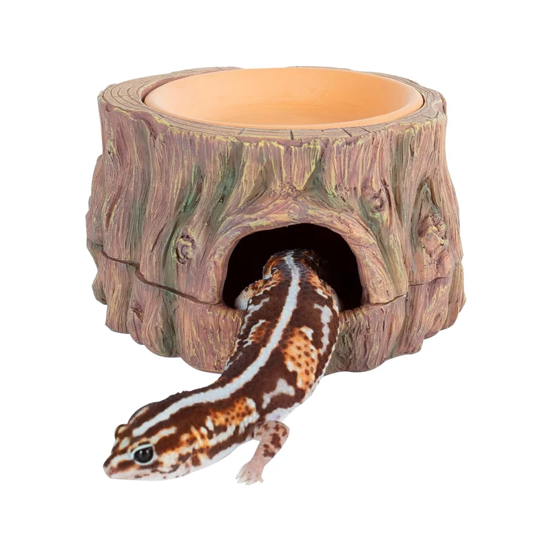 CAVACHEW Caverne 3 en 1 pour Reptiles – Base Détachable et Plat d'humidité