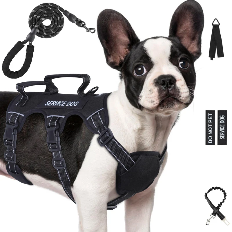 Yungaspy Harnais anti-fuite pour chiens moyens/grands – Ensemble service avec laisse, Taille M Noir