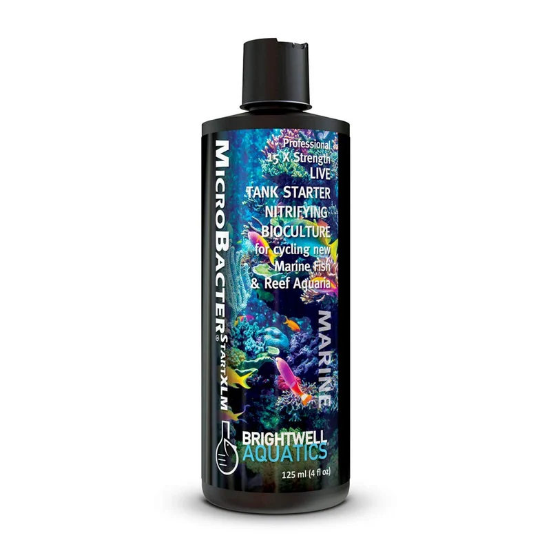 Brightwell Aquatics MicroBacter Start XLM – Starter nitrifiant concentré pour aquarium d’eau douce – 125 ml
