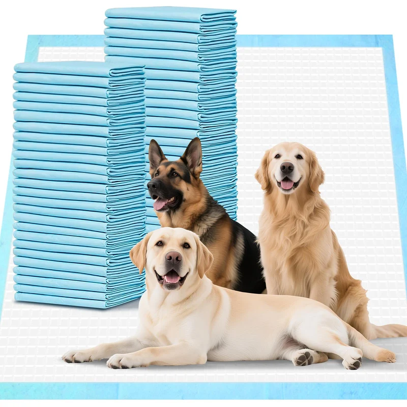 Joyeux Daily – Pack 40 tapis-pipi XXL pour chiens (80 x 90 cm), absorption rapide et 6 couches anti-fuites