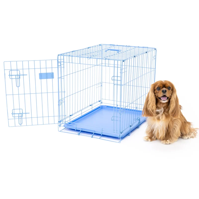 Carlson Cage pour Chien – Cage métallique bleue à porte unique, compacte et sécurisée (Petit)