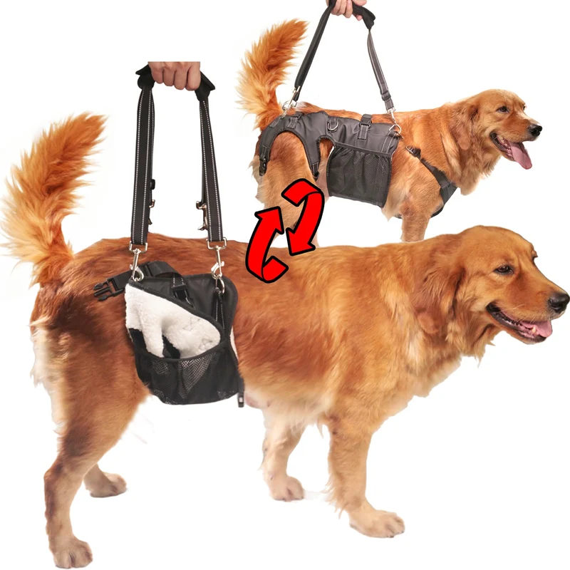 SyFatWeen Harnais de rééducation pour chien — levage arrière et soutien des hanches, grand gabarit