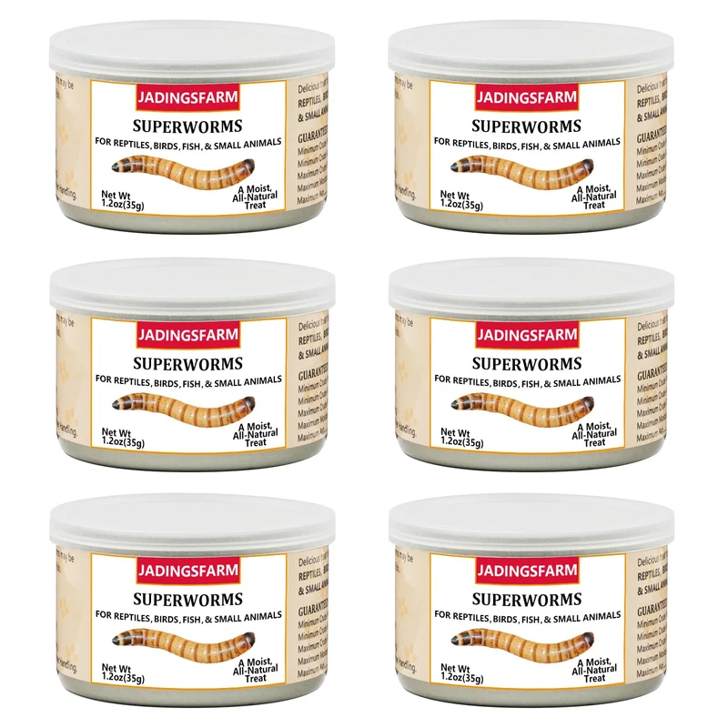 JADINGSFARM 6 Pack de Superworms en Boîte – Protéines pour Reptiles, Poissons et Oiseaux
