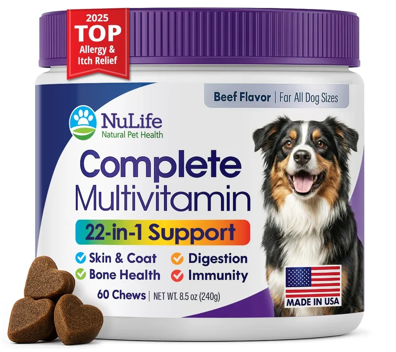 NuLife Chien – Multivitamines 22-en-1 avec Mussel Verte et Oméga-3 – 60 Friandises Boeuf