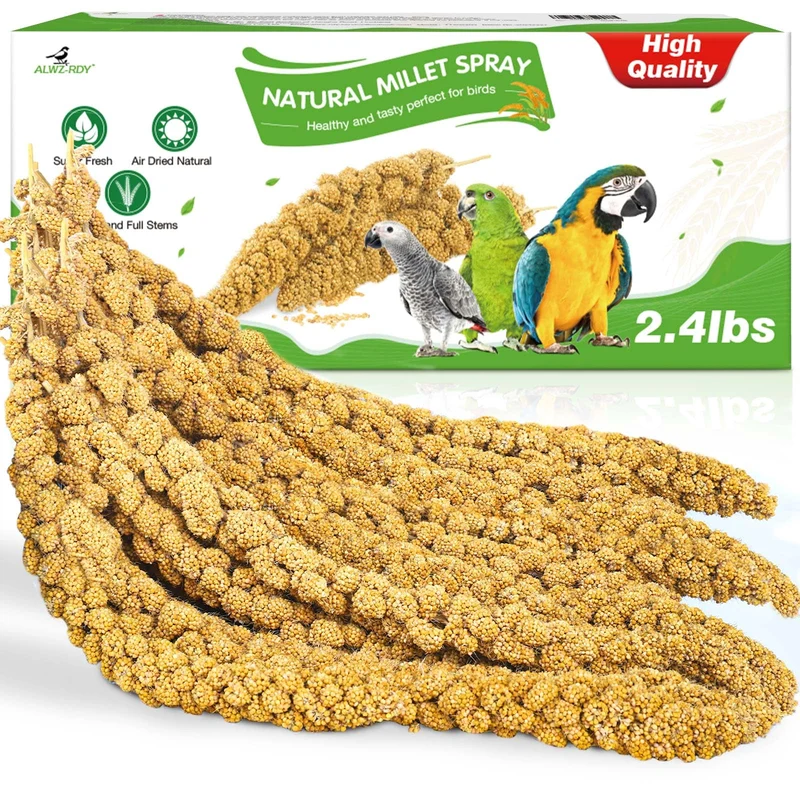 ALWZ-RDY Millet Spray pour Oiseaux – 2,4 lb Naturel et Sans Tiges, Friandise pour Perruchettes et Autres Oiseaux