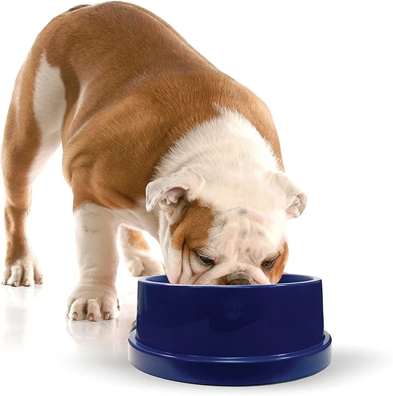 K&H Pet Products Coolin' Bol d'Eau — Refroidissement Durable Sans Électricité, 96 oz