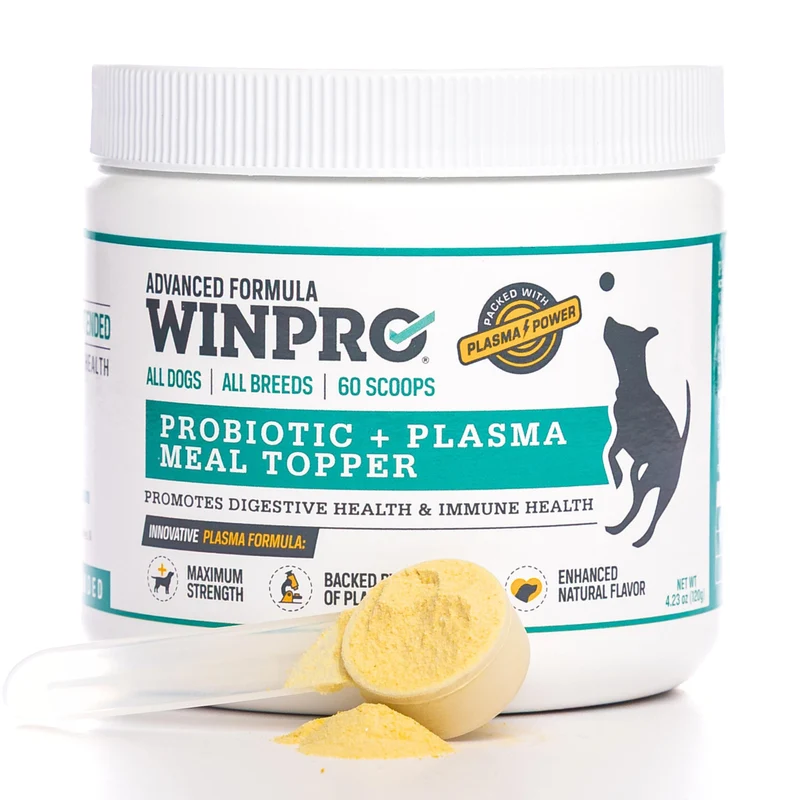WINPRO Poudre Probiotique pour Chiens – Plasma Spray-Dried avec Prébiotiques et Probiotiques (60 dosettes) – Fabriqué aux États‑Unis