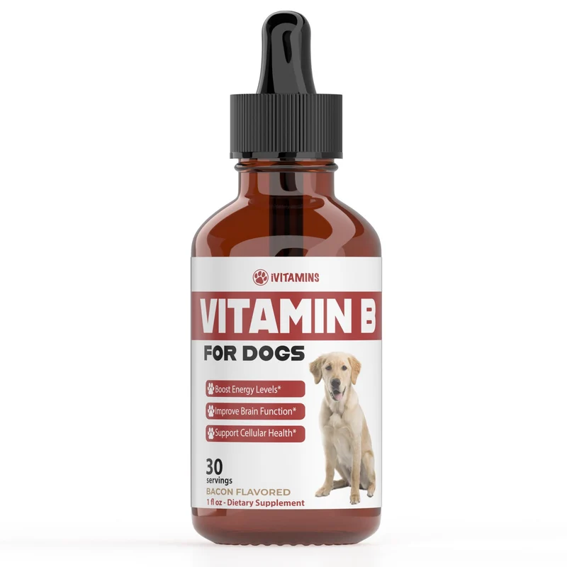 iVitamins Vitamin B pour Chiens – Complexe B (B12) en Gouttes au Goût Bacon