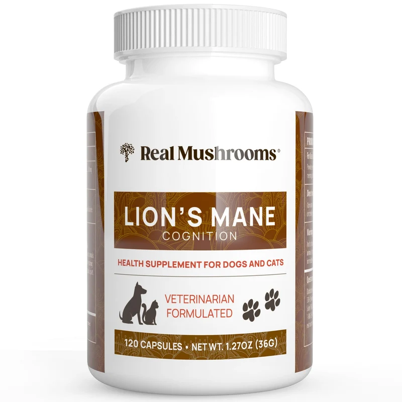 Real Mushrooms Lion’s Mane pour Animaux – Capsules 120 (chiens & chats), Bio, Végan, Non-OGM