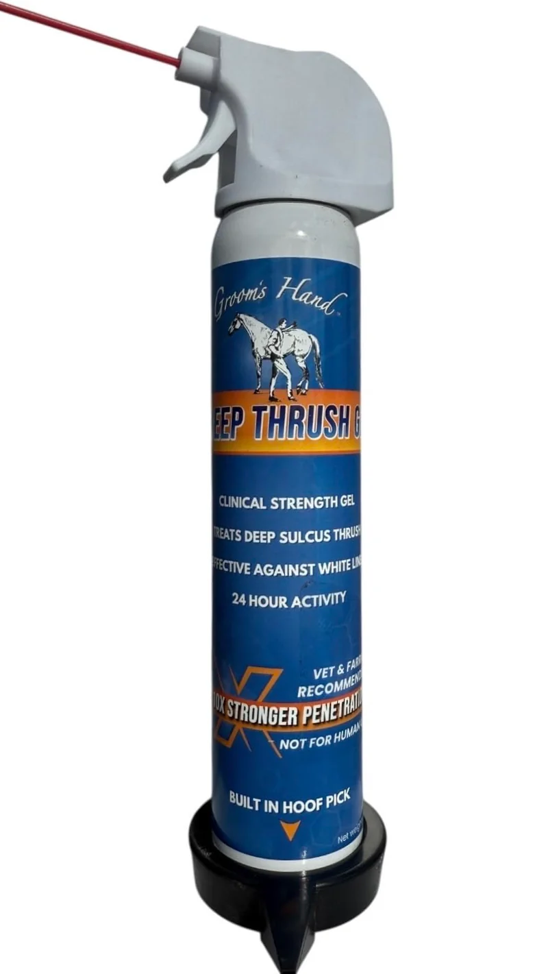 Grooms Hand Gel profond contre l’infection du sabot du cheval | Soin du sabot efficace
