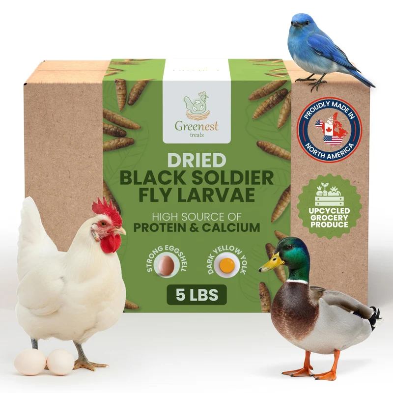 Greenest Treats – Larves de mouche soldat noire pour poulets et canards, 5 livres – Protéines élevées et calcium – Alternative sans OGM – Élevées en Amérique du Nord