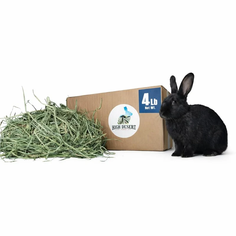 High Desert Foin Verger – Foin d’Orchard Naturel pour Lapins, Cobayes, Chinchillas et Hamsters