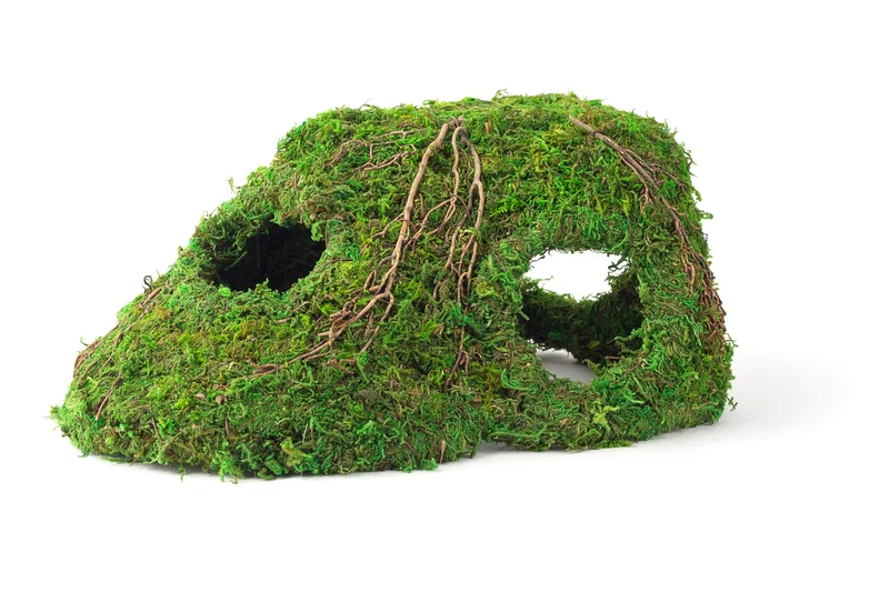 Galapagos Sapa Corner Hide – Cachette Coin Naturelle et Sûre pour Reptiles et Invertébrés | 25,4 × 14 × 11,4 cm