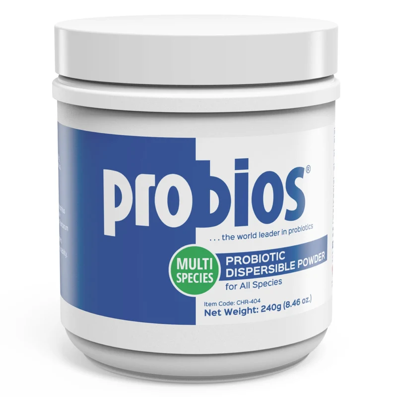 Probios Poudre Probiotique Digestive – Soutien Intestinal pour Toutes Espèces | 240 g