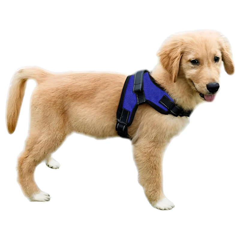 Copatchy Harnais Chien Anti-Tirage Réfléchissant Réglable avec Poignée – Confort Tout Temps Bleu, Taille Petite