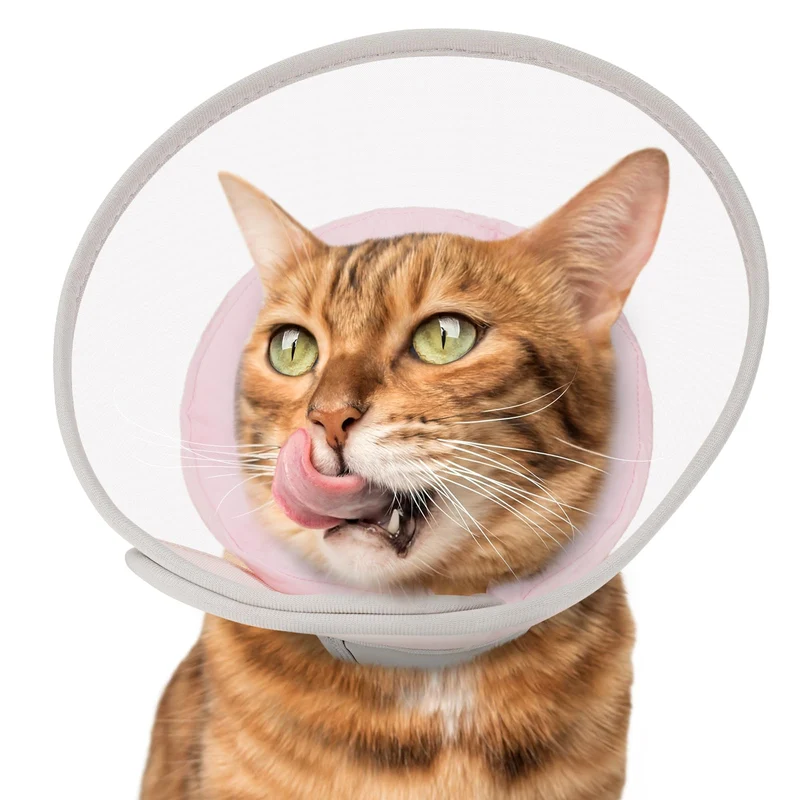 Joypig Collier-Cône Chat Doux et Imperméable (M, Rose) – Anti-Léchage Après Chirurgie