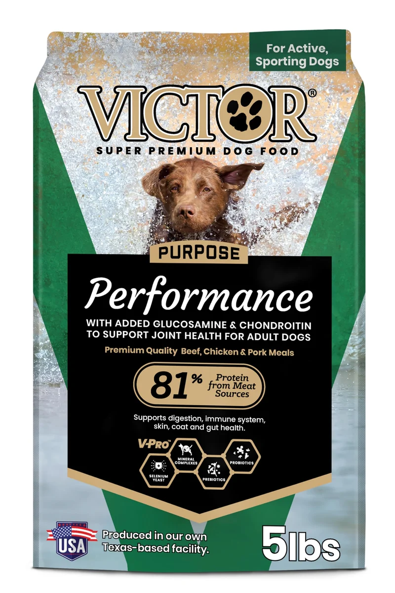 VICTOR Super Premium Croquettes pour Chien – Performance sec pour Chiens Adultes Actifs – 26% Protéines – 5 livres