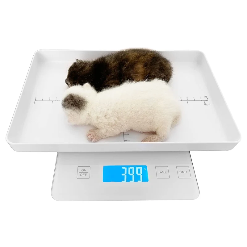 MINDPET-MED Balance Numérique pour Petits Animaux – Précision 1 g